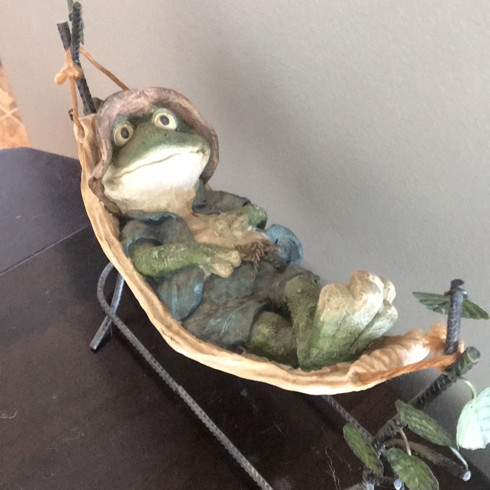 Meet “Johnny”! He’s a chill frog relaxing in his hammock!